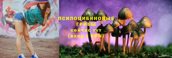 прущий лед Яровое