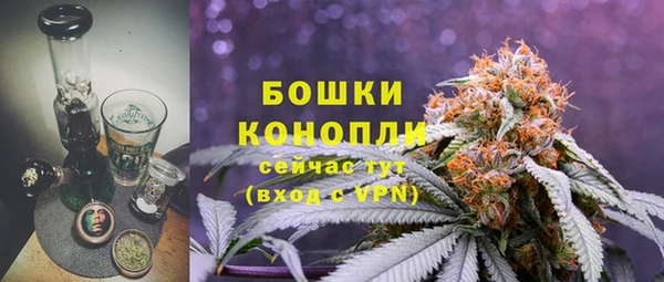 прущие крисы Щёлкино