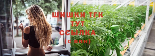 сатива Вязники