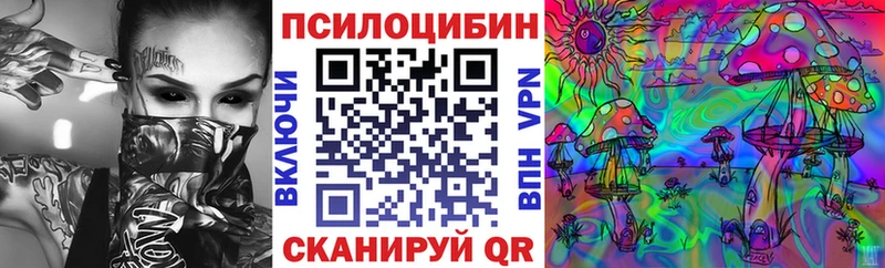 наркотики  Киренск  Псилоцибиновые грибы Psilocybine cubensis 